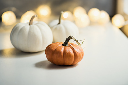 Pumpkins or white gourds featuring autumn, pumpkin, and background
