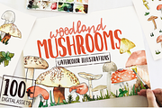 Woodland Mushroom Watercolors, an Illustration by plaidGecko (Thumbnail 1 of 8)