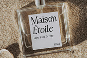 Rustique Serif, a Serif Font by Youngtype.Std (Thumbnail 9 of 11)