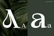 Aragusha Decorative Serif Font, a Serif Font by Rasio Studio (Thumbnail 3 of 9)