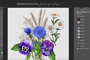 Seamless Pattern Cornflowers Fields, a Pattern Graphic by Yana Dobrik (Thumbnail 10 of 11)