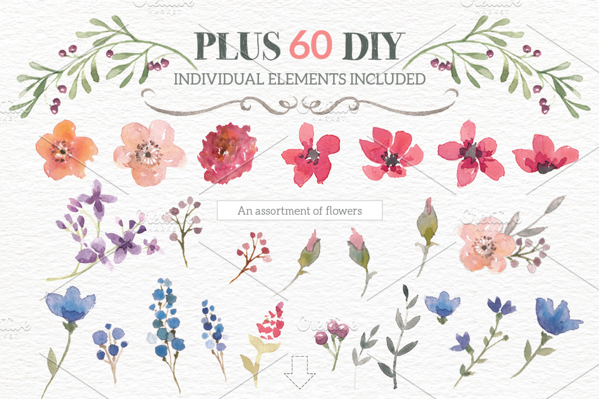 Watercolour Wreath Creator, an Illustration by Lisa Glanz (Photo 4 of 6)