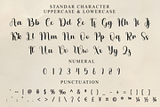 Delightful, a Handwritten Font by InermediaSTUDIO (Thumbnail 8 of 8)