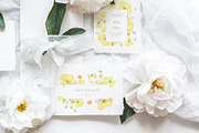 Wildflowers, poppies and herbs, a Food Illustration by astelenadesign (Thumbnail 4 of 19)