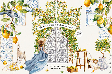 Mediterranean Citrus Garden clipart, a Decorative Illustration by Pamyatka Shop