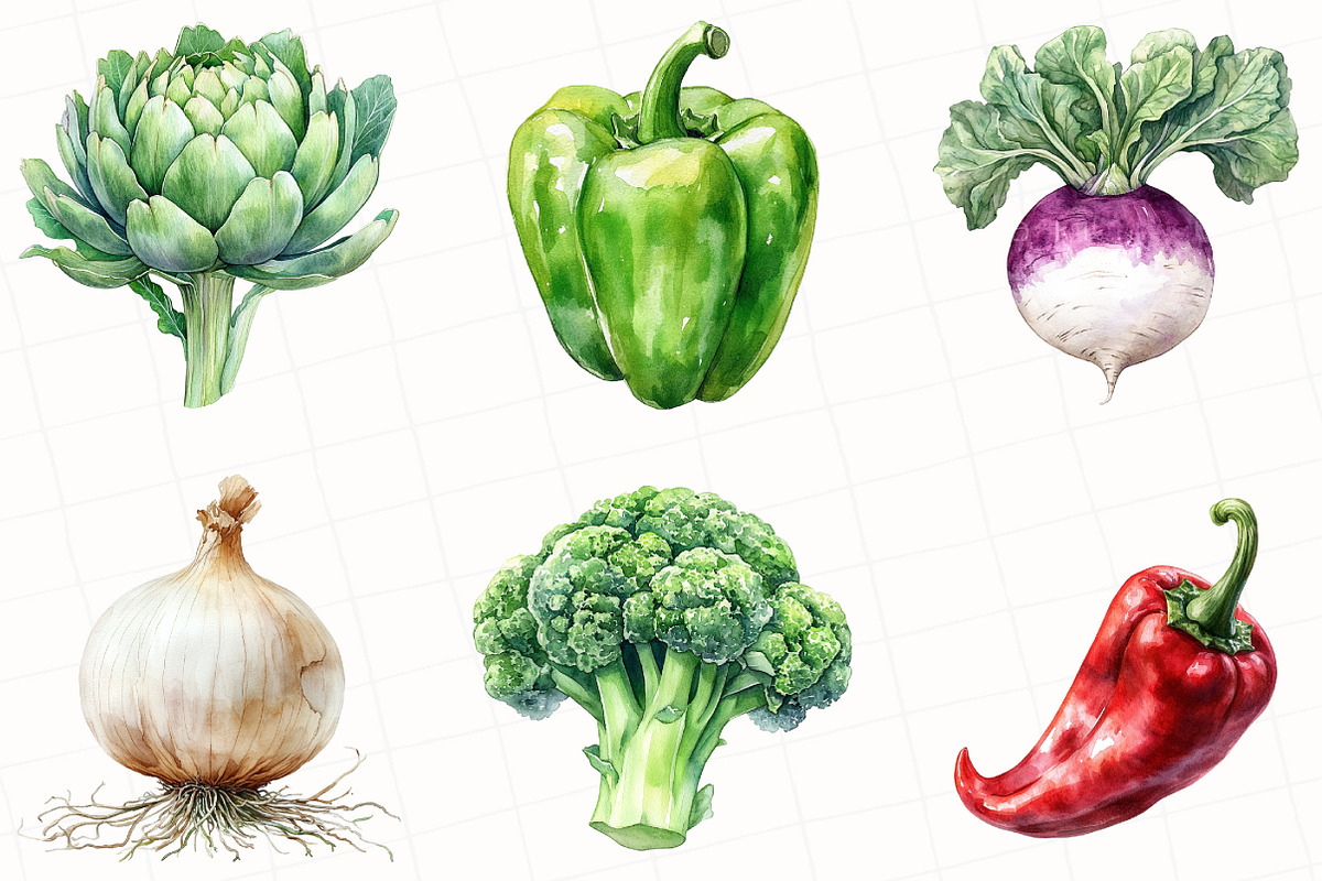 Vegetable Watercolor Clipart, an Illustration by OK Design (Photo 2 of 5)