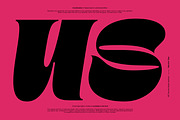 MIT Neurise, a Serif Font by Maculinc Type (Thumbnail 5 of 12)