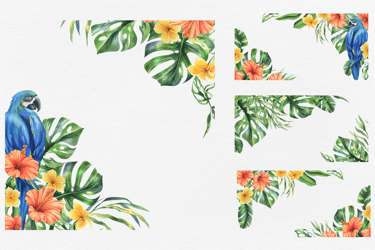 Parrots & tropical leaves watercolor, an Animal Illustration by NATASHA CHU (Photo 12 of 21)