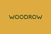 Woodrow I A Sans Serif Font, a Sans Serif Font by Taylor Penton (Thumbnail 1 of 3)