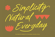 Wroteful Authentic Script Font, a Script Font by stylishtype.co (Thumbnail 16 of 20)