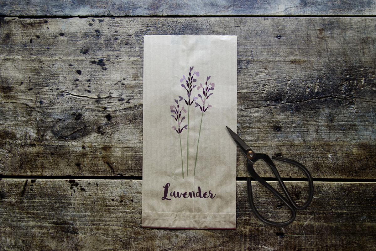 Herbs set, a Food Illustration by Tabita's shop (Photo 2 of 5)