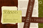 Earthlines - Organic Serif & Sans, a Serif Font by Setara Langit CreativeStd (Thumbnail 9 of 13)