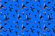 INK DREAMS: FLYING BIRDS, a Food Illustration by HANNA V (Thumbnail 9 of 12)