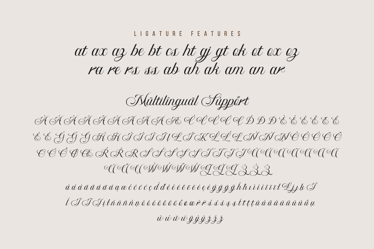 Bidena | Script Font, a Script Font by twinstd (Photo 10 of 11)