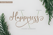 Wonderful Christmas Font, a Script Font by Coco Bloom (Thumbnail 7 of 10)