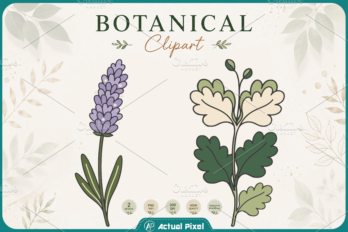 Boho Botanical Leaves Clipart Bundle, a Nature Photo by Actual Pixel (Photo 20 of 21)