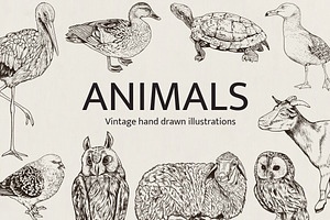 Hand Drawn Animals, an Animal Illustration by Artspace