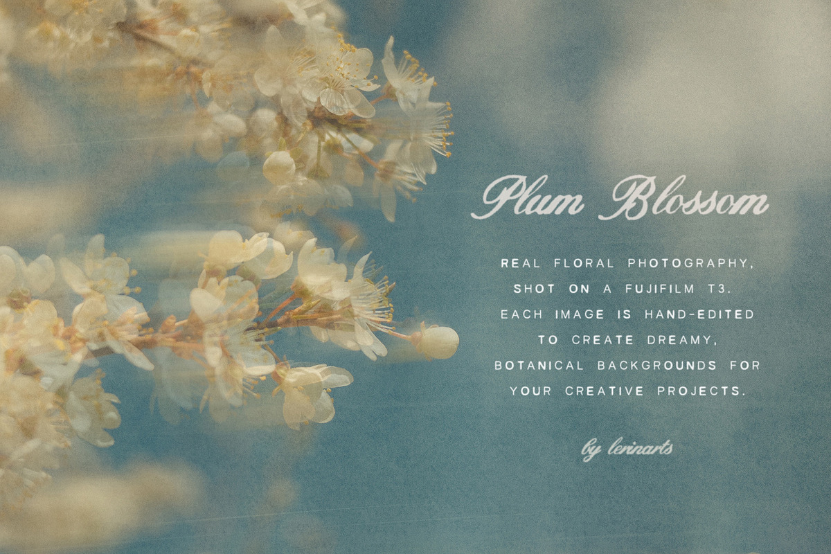Plum Blossom Floral Backgrounds, a Background Graphic by lerinartstudio (Photo 2 of 11)