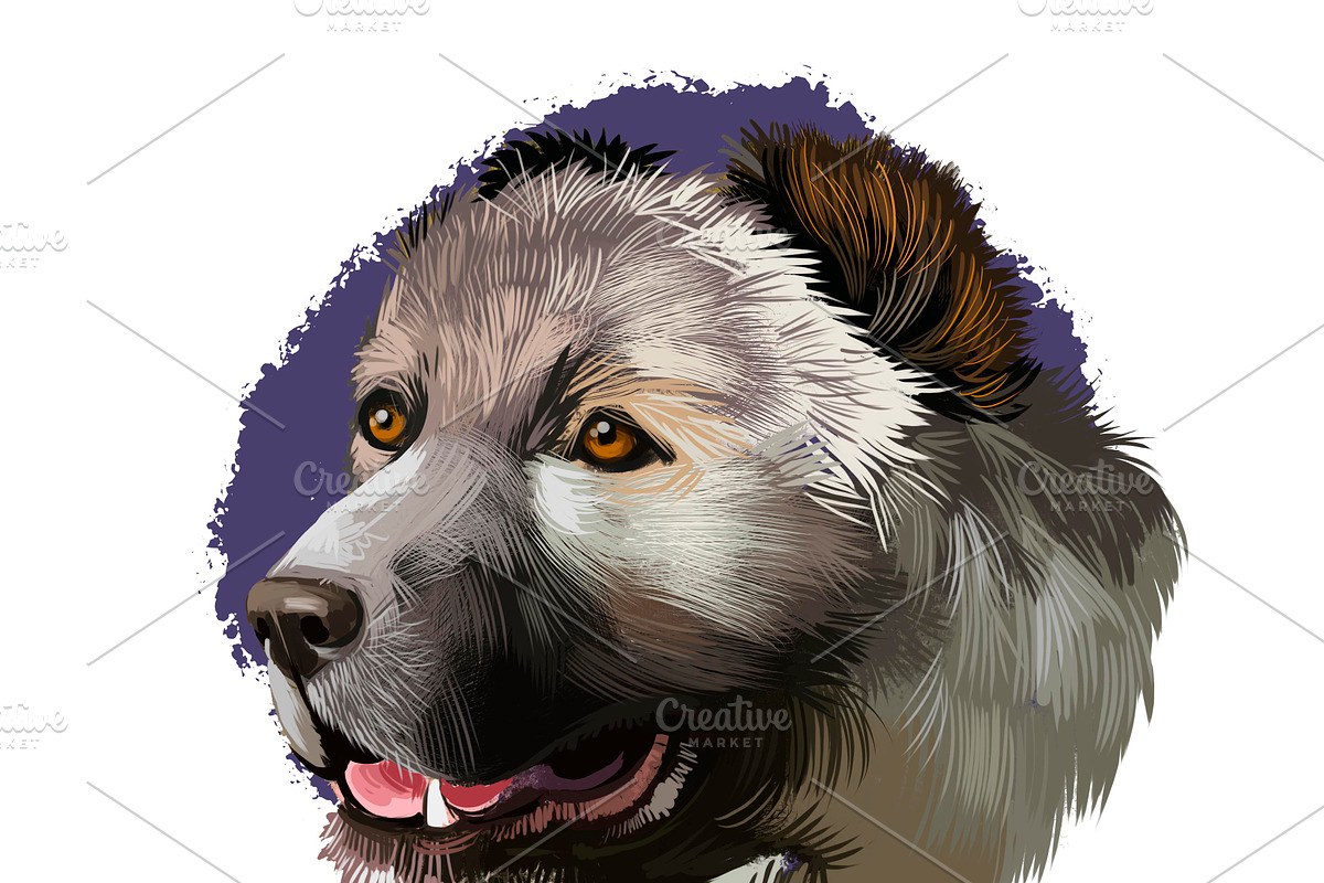 Dogs Pet Portraits Art Print Set 7, an Animal Illustration by Dneprstock (Photo 5 of 5)