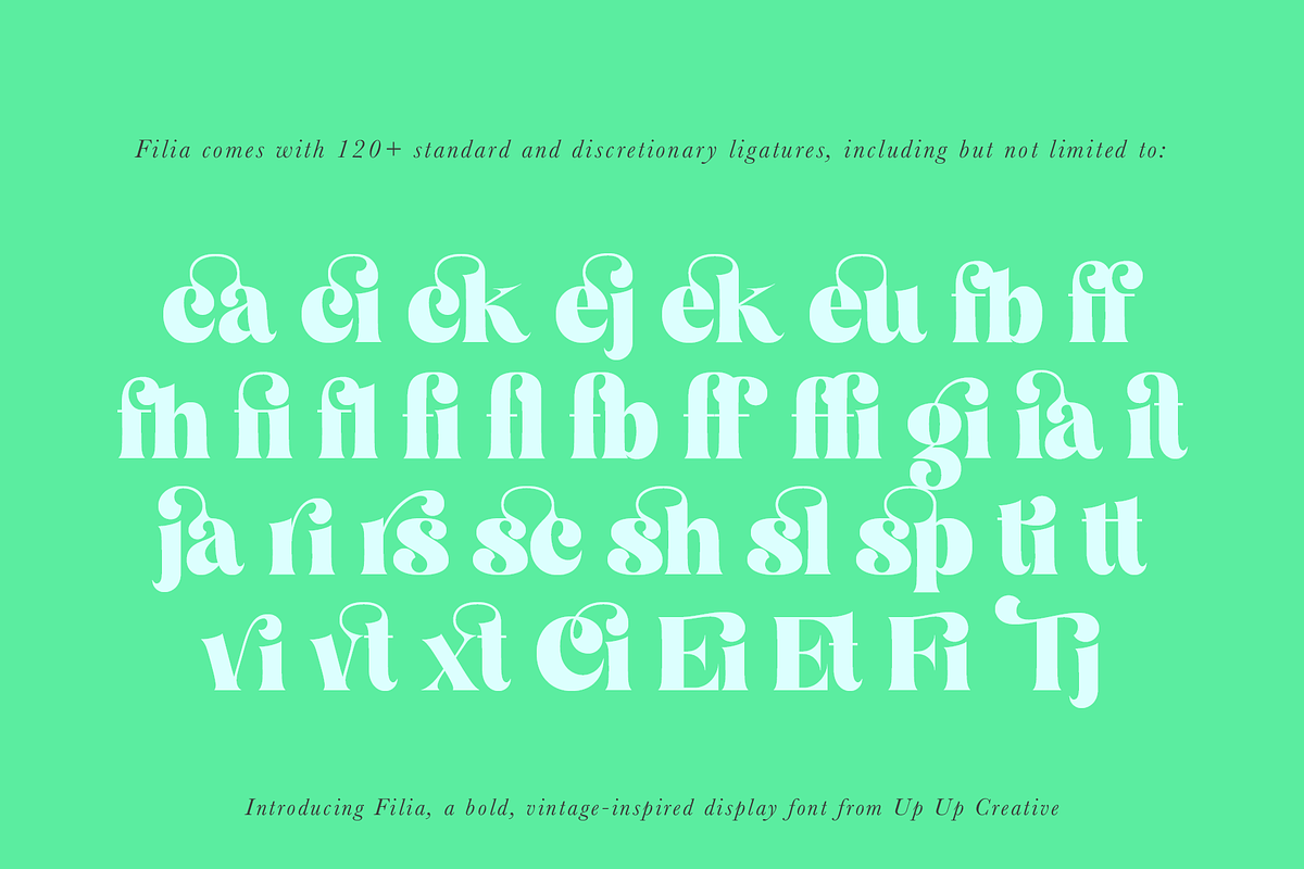 Filia Display Font preview 6