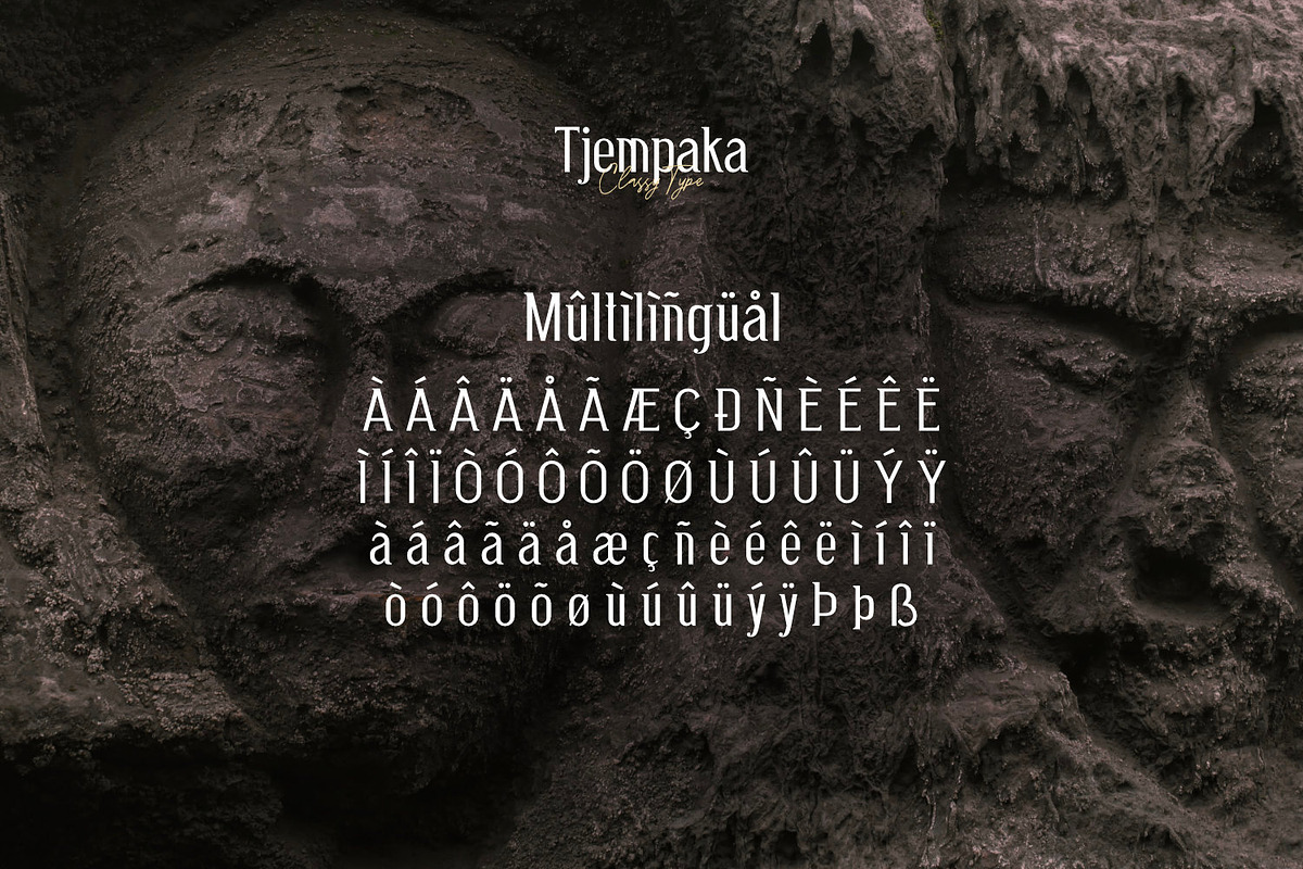 Tjempaka - Classy Type, a Serif Font by ikiiko (Photo 7 of 7)