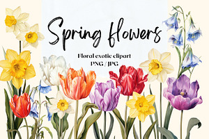 Spring Flowers. Floral Elements