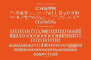 Female Halzita Modern Alternate Font, a Serif Font by timelesstype.co (Thumbnail 19 of 20)