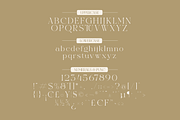 Excrallik Modern Serif, a Serif Font by Denustudios (Thumbnail 5 of 7)