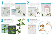 WINTER PLANTS | Scene Creator, a Product Mockup by bariskina (Thumbnail 2 of 5)