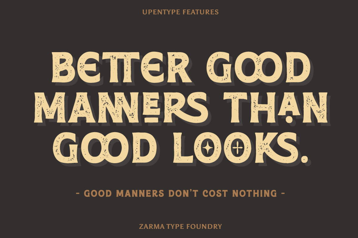 Anerome - Vintage Display Font, a Serif Font by Zarma Type (Photo 5 of 12)