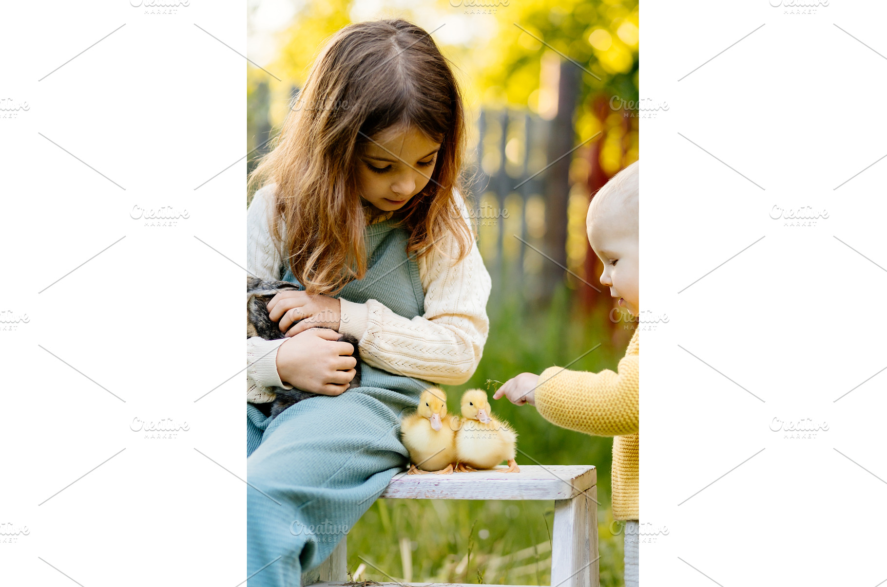 Kids enjoying time with baby animals, a Nature Photo by HalfPoint
