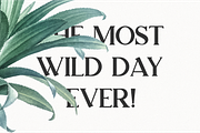 Lumiera Font Duo, a Sans Serif Font by 24Design Studios (Thumbnail 2 of 6)