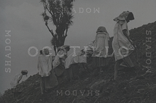 OCOTILLO SHADOW TYPEFACE