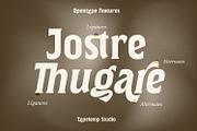 The Ghamber Classic Vintage, a Serif Font by Typetemp Studio (Thumbnail 9 of 17)