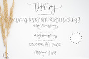 Desert Song | Calligraphy Script, a Script Font by Calamar Studio (Thumbnail 14 of 14)