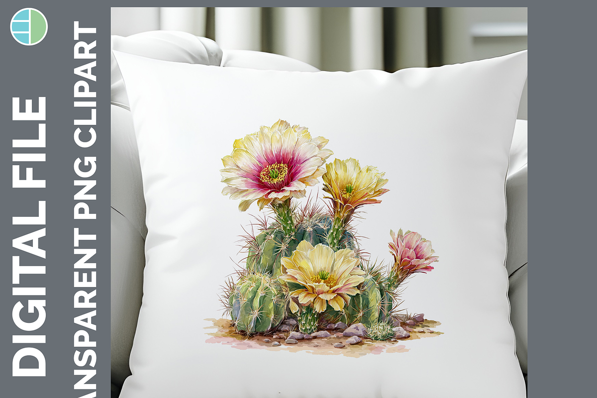 Cactus Succulent Illustration Bundle, an Animal Illustration by Enliven Designs (Photo 8 of 8)