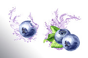 Blueberry. Watercolor collection, a Food Illustration by Daria Ustiugova (Thumbnail 13 of 25)
