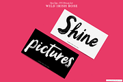 Script font Wild Irish Rose, a Script Font by Itsmesimon (Thumbnail 5 of 25)