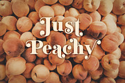 Mighty Aphrodite // A Classy Serif, a Serif Font by Megs Lang (Thumbnail 19 of 22)