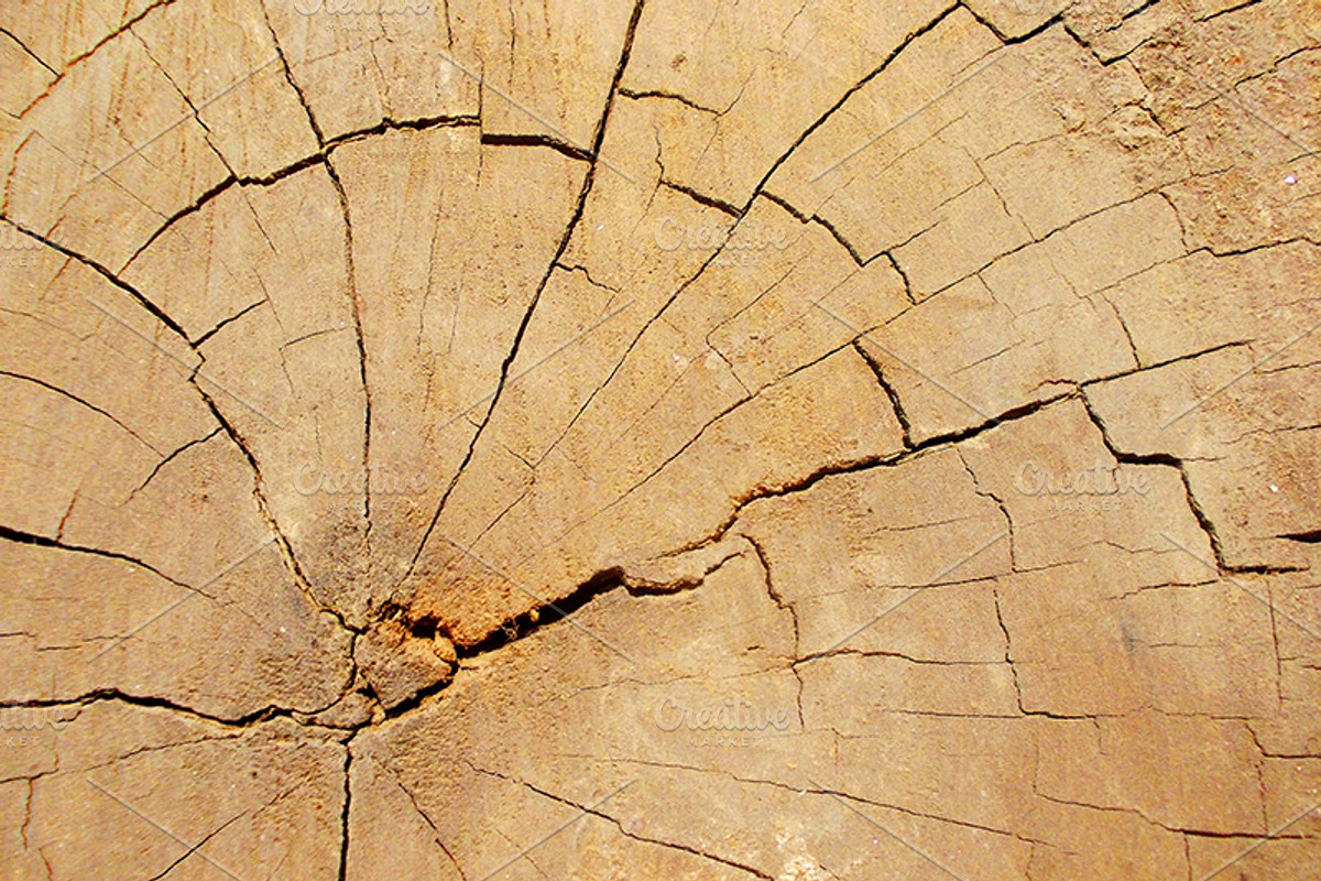 20 Wooden Textures preview 3