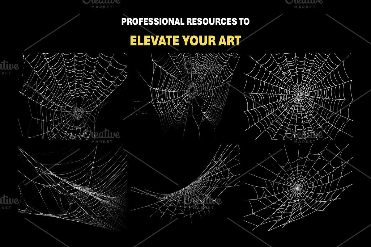 200+ Spider Web Overlays, a Nature Photo by Mikel Blazgad (Photo 4 of 10)