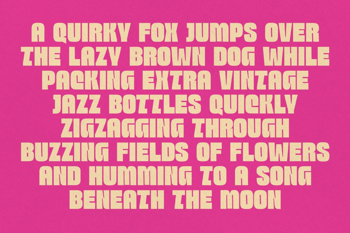 Cloiqy, a Sans Serif Font by graphicook (Photo 4 of 10)