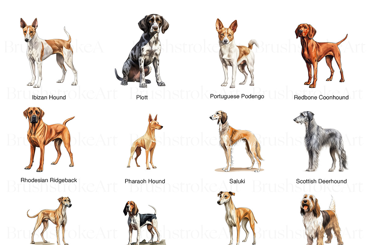 Hound Group Dogs Clipart Collection