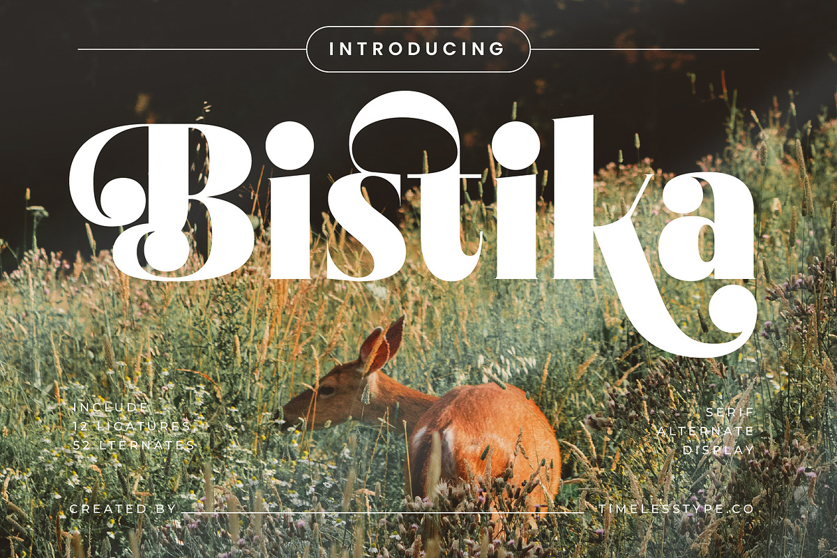 Bistika Modern Display Serif, a Serif Font by timelesstype.co (Photo 1 of 20)