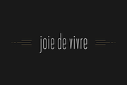 Fancy Pants Typeface, a Sans Serif Font by Ben Buysse (Thumbnail 7 of 12)