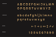 PRAK Trotoer - Vintage Display Font, a Sans Serif Font by Healltica.std (Thumbnail 6 of 27)