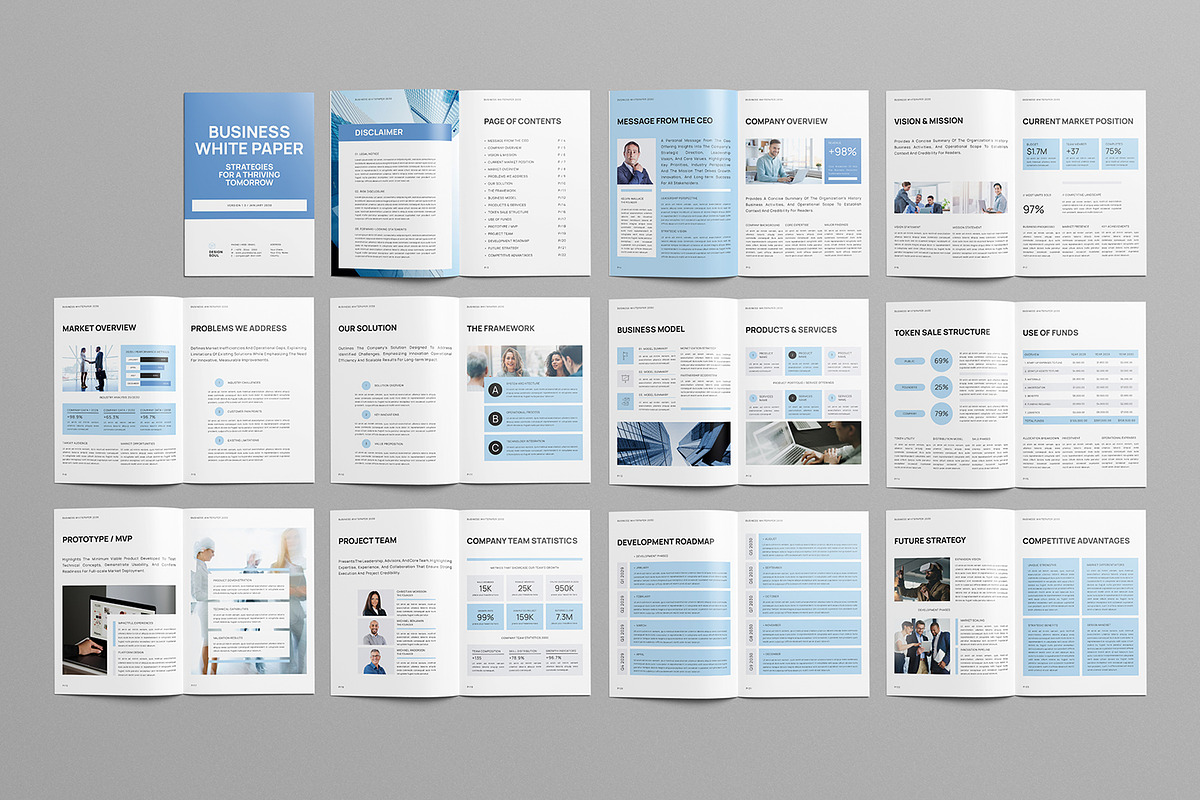 White Paper Template, a Brochure Template by Designsoul14 (Photo 11 of 12)