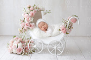 Newborn Stroller Digital Backdrop, a Layer Style Add-On by Wild Honey Design Co. (Thumbnail 1 of 2)
