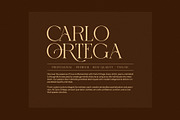 Aroges Elegant Serif Font, a Serif Font by Perfectype (Thumbnail 2 of 8)