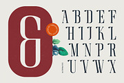 Broswick Bold Tall Display Serif, a Serif Font by timelesstype.co (Thumbnail 8 of 20)